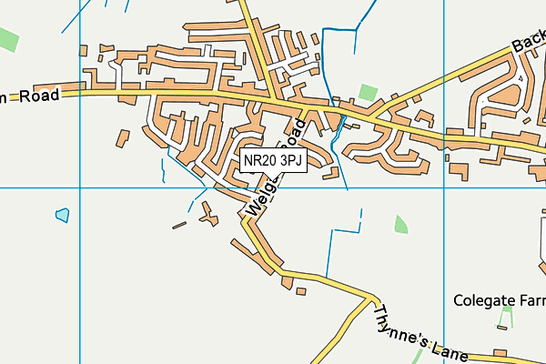 NR20 3PJ map - OS VectorMap District (Ordnance Survey)
