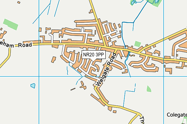 NR20 3PP map - OS VectorMap District (Ordnance Survey)