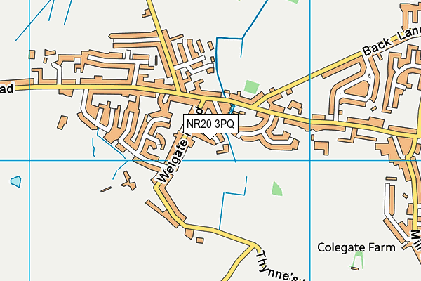 NR20 3PQ map - OS VectorMap District (Ordnance Survey)