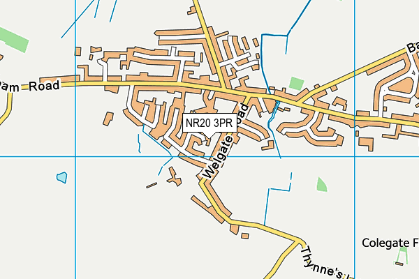 NR20 3PR map - OS VectorMap District (Ordnance Survey)