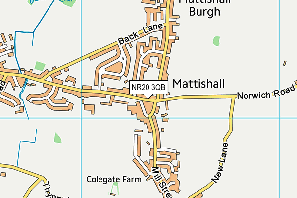 NR20 3QB map - OS VectorMap District (Ordnance Survey)