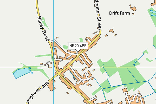 NR20 4BF map - OS VectorMap District (Ordnance Survey)