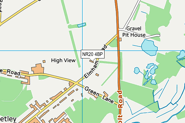NR20 4BP map - OS VectorMap District (Ordnance Survey)