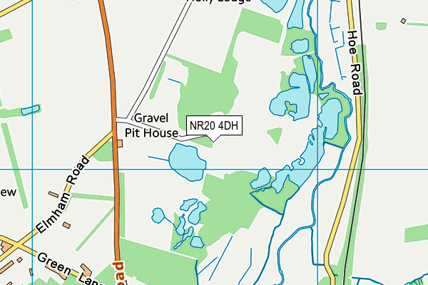 NR20 4DH map - OS VectorMap District (Ordnance Survey)