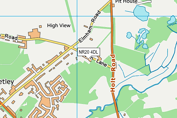 NR20 4DL map - OS VectorMap District (Ordnance Survey)