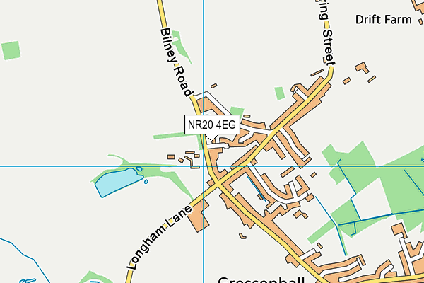 NR20 4EG map - OS VectorMap District (Ordnance Survey)