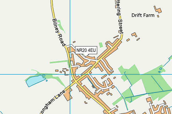 NR20 4EU map - OS VectorMap District (Ordnance Survey)