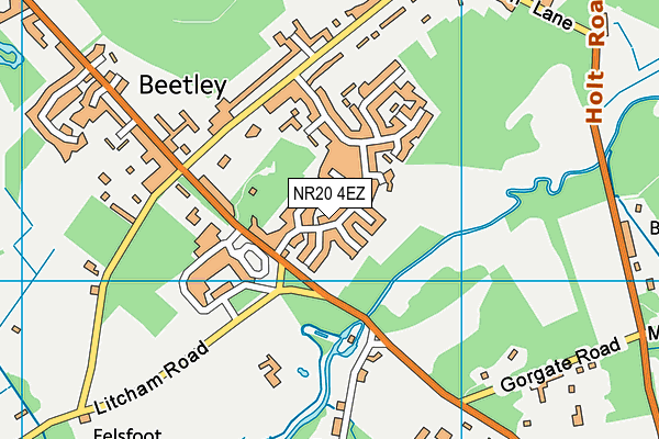 NR20 4EZ map - OS VectorMap District (Ordnance Survey)