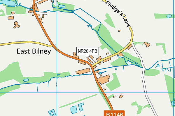 NR20 4FB map - OS VectorMap District (Ordnance Survey)