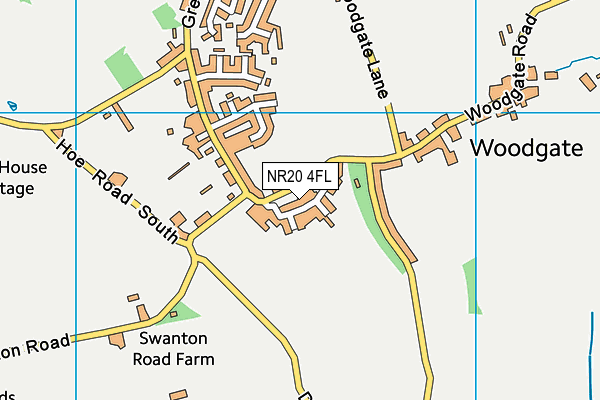 NR20 4FL map - OS VectorMap District (Ordnance Survey)