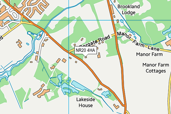 NR20 4HA map - OS VectorMap District (Ordnance Survey)