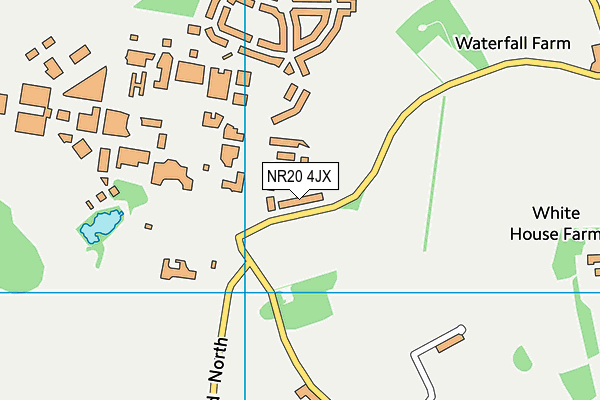 NR20 4JX map - OS VectorMap District (Ordnance Survey)