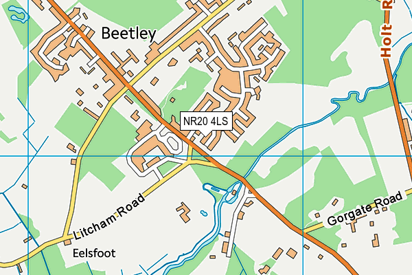NR20 4LS map - OS VectorMap District (Ordnance Survey)
