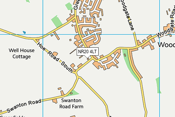 NR20 4LT map - OS VectorMap District (Ordnance Survey)