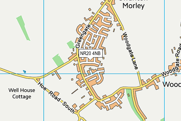 NR20 4NB map - OS VectorMap District (Ordnance Survey)