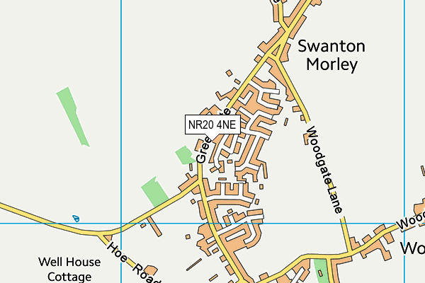 NR20 4NE map - OS VectorMap District (Ordnance Survey)
