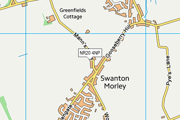 Swanton Morley Village Hall And Playing Field map (NR20 4NP) - OS VectorMap District (Ordnance Survey)