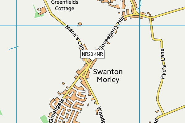 NR20 4NR map - OS VectorMap District (Ordnance Survey)