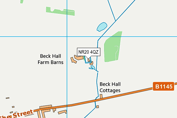 NR20 4QZ map - OS VectorMap District (Ordnance Survey)