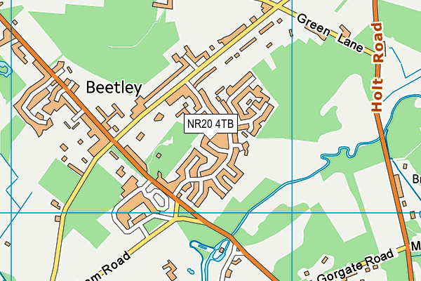 NR20 4TB map - OS VectorMap District (Ordnance Survey)