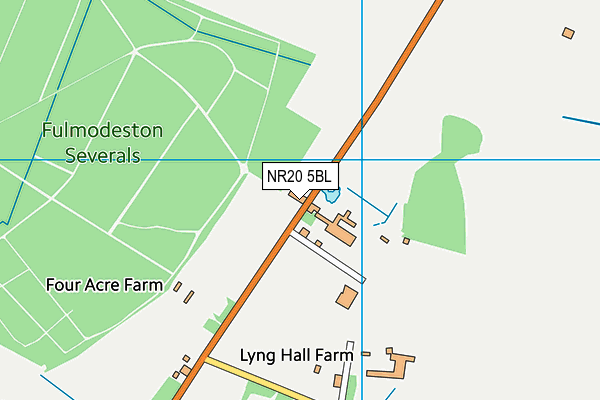 NR20 5BL map - OS VectorMap District (Ordnance Survey)