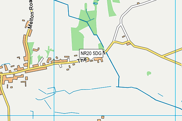 NR20 5DG map - OS VectorMap District (Ordnance Survey)