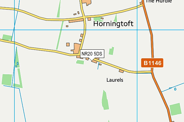 NR20 5DS map - OS VectorMap District (Ordnance Survey)