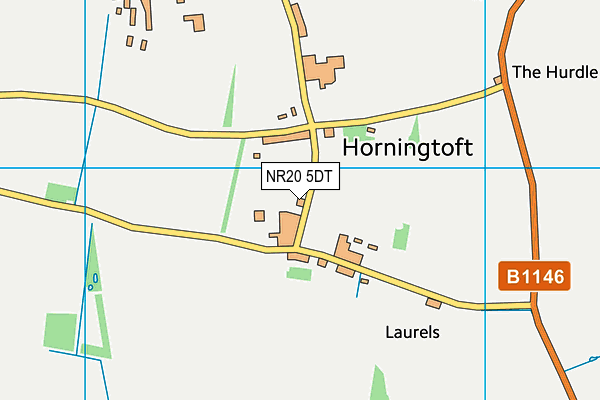 NR20 5DT map - OS VectorMap District (Ordnance Survey)