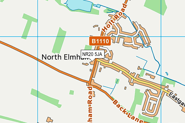 North Elmham Playing Field map (NR20 5JA) - OS VectorMap District (Ordnance Survey)