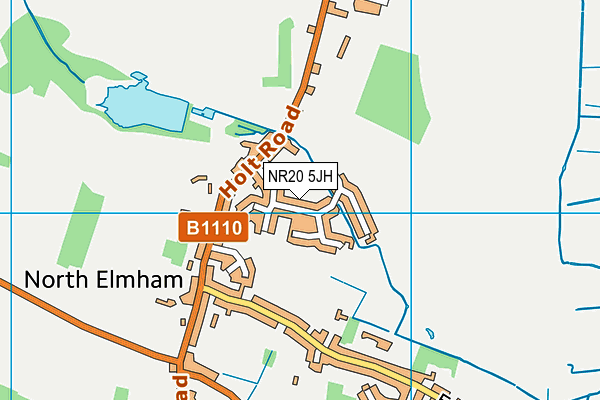 NR20 5JH map - OS VectorMap District (Ordnance Survey)