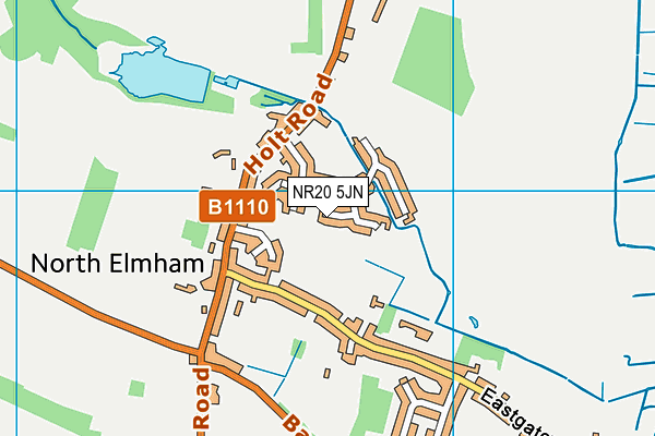 NR20 5JN map - OS VectorMap District (Ordnance Survey)