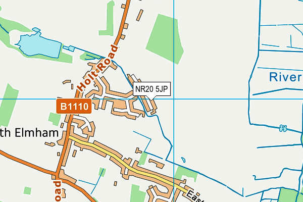 NR20 5JP map - OS VectorMap District (Ordnance Survey)