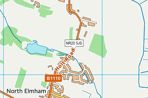 North Elmham CEVA Primary School part of Flourish Federation map (NR20 5JS) - OS VectorMap District (Ordnance Survey)