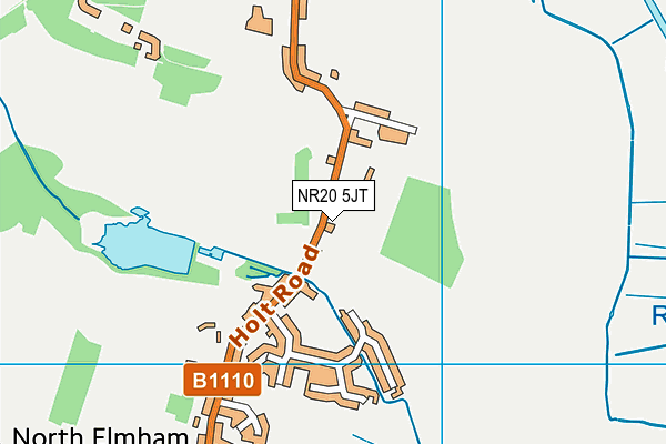 NR20 5JT map - OS VectorMap District (Ordnance Survey)