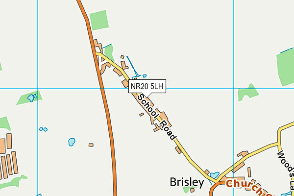 Brisley Church of England Primary Academy map (NR20 5LH) - OS VectorMap District (Ordnance Survey)