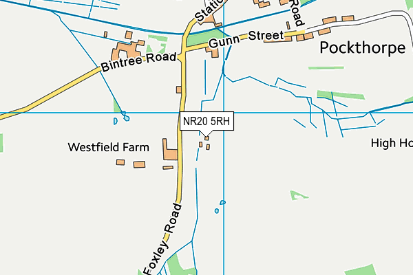 NR20 5RH map - OS VectorMap District (Ordnance Survey)