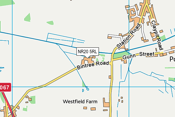 NR20 5RL map - OS VectorMap District (Ordnance Survey)