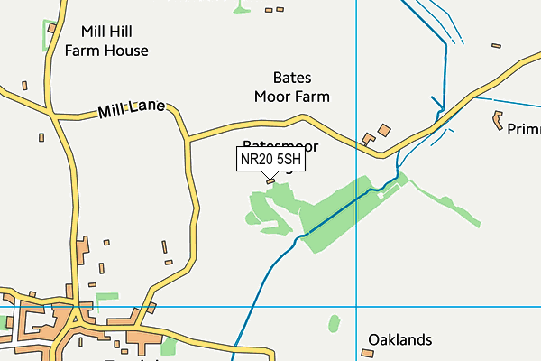 NR20 5SH map - OS VectorMap District (Ordnance Survey)