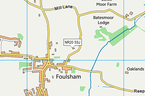 NR20 5SJ map - OS VectorMap District (Ordnance Survey)