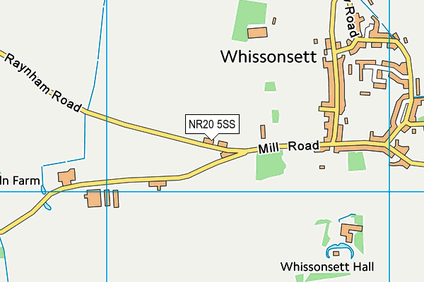 NR20 5SS map - OS VectorMap District (Ordnance Survey)