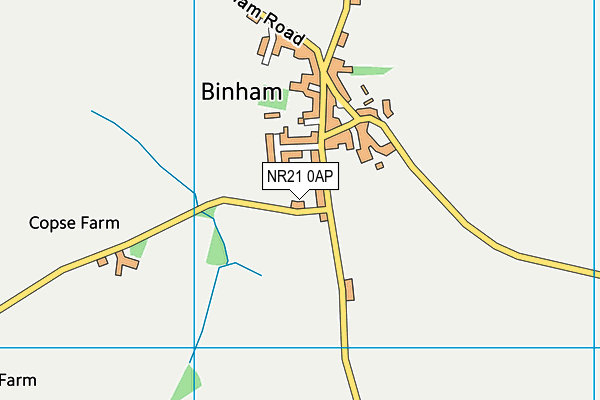 NR21 0AP map - OS VectorMap District (Ordnance Survey)