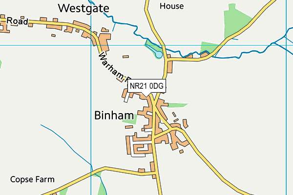 NR21 0DG map - OS VectorMap District (Ordnance Survey)