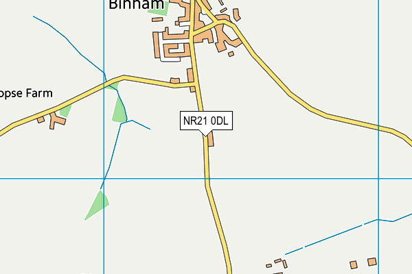 NR21 0DL map - OS VectorMap District (Ordnance Survey)