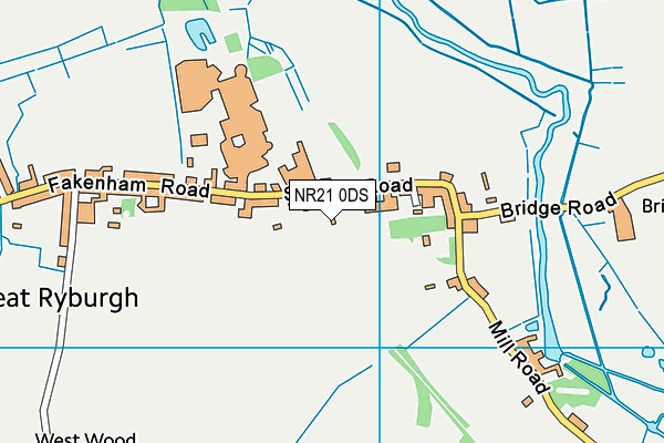 NR21 0DS map - OS VectorMap District (Ordnance Survey)