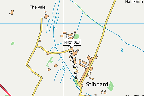 NR21 0EJ map - OS VectorMap District (Ordnance Survey)