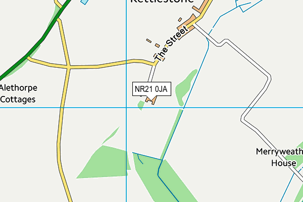 NR21 0JA map - OS VectorMap District (Ordnance Survey)
