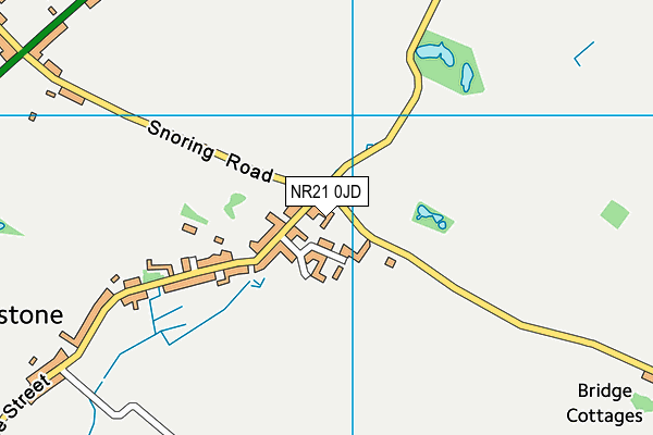 NR21 0JD map - OS VectorMap District (Ordnance Survey)