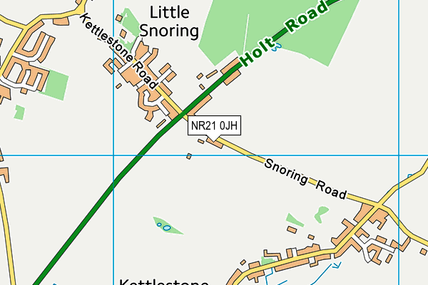 NR21 0JH map - OS VectorMap District (Ordnance Survey)
