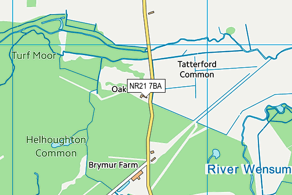 NR21 7BA map - OS VectorMap District (Ordnance Survey)