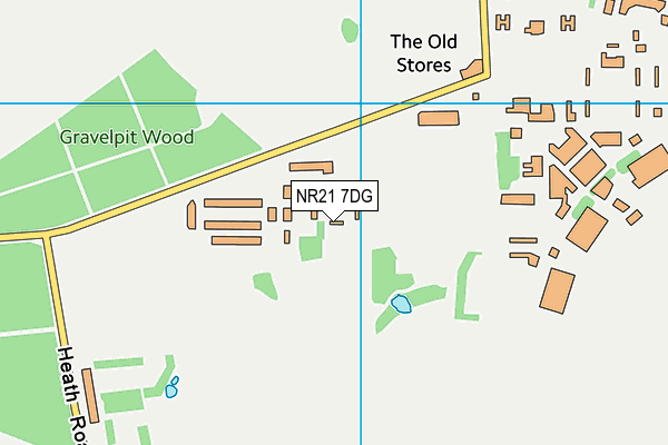 NR21 7DG map - OS VectorMap District (Ordnance Survey)